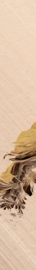 Dry plant on sandy surface.