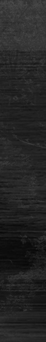 Dark textured background with subtle gradients.