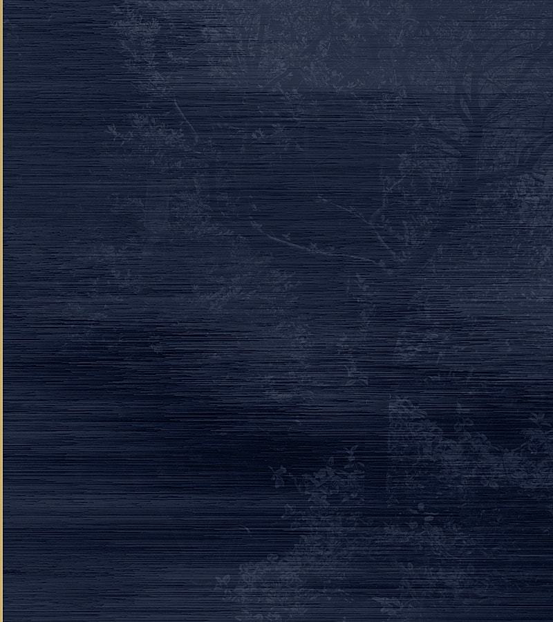 Close-up portrait of a woman with long hair.