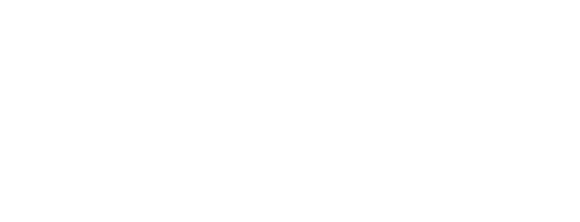 Castle Connolly Top Doctors logo design.
